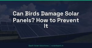 Can Birds Damage Solar Panels? How to Prevent It