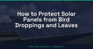 How to Protect Solar Panels from Bird Droppings and Leaves