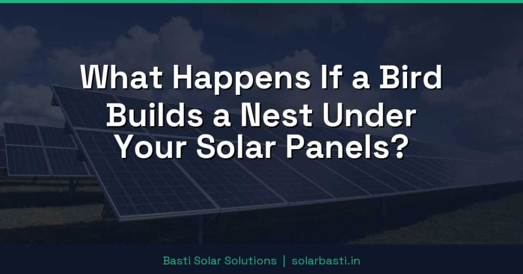 What Happens If a Bird Builds a Nest Under Your Solar Panels?