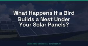 What Happens If a Bird Builds a Nest Under Your Solar Panels?